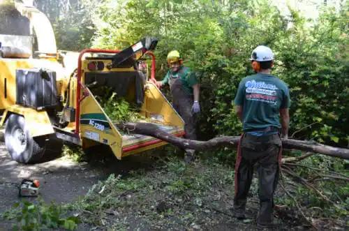 tree services Waukon